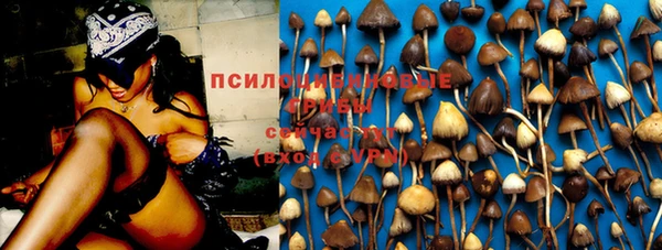 соль курить ск Краснослободск